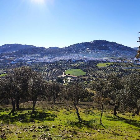 Casa Rural El Trepador Azul Cabeza la Vaca Exteriér fotografie