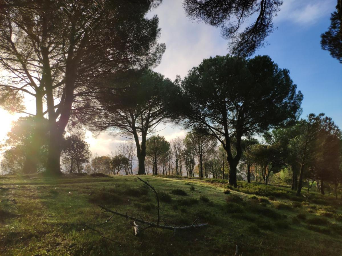 Casa Rural El Trepador Azul Cabeza la Vaca Exteriér fotografie